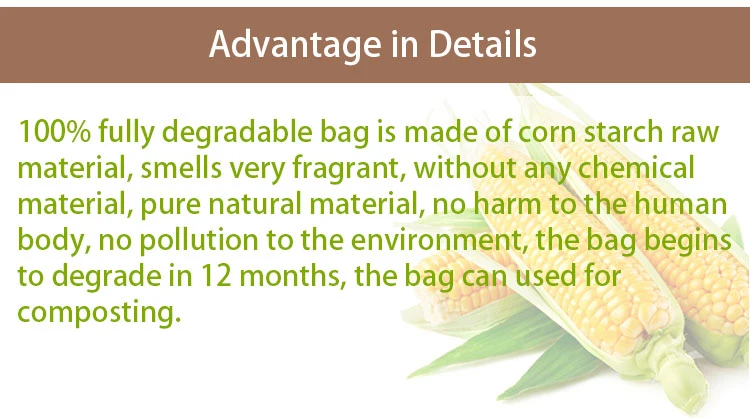 Custom 100% Biodegradable Courier Bag Pbat+PLA Corn Starch Logistic Packing Bag Earth Friendly Express Mailer Bag
